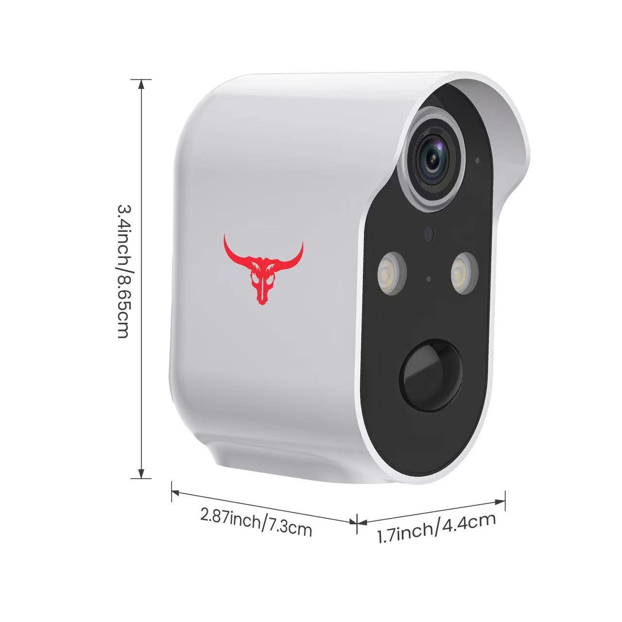 SecureView Camera